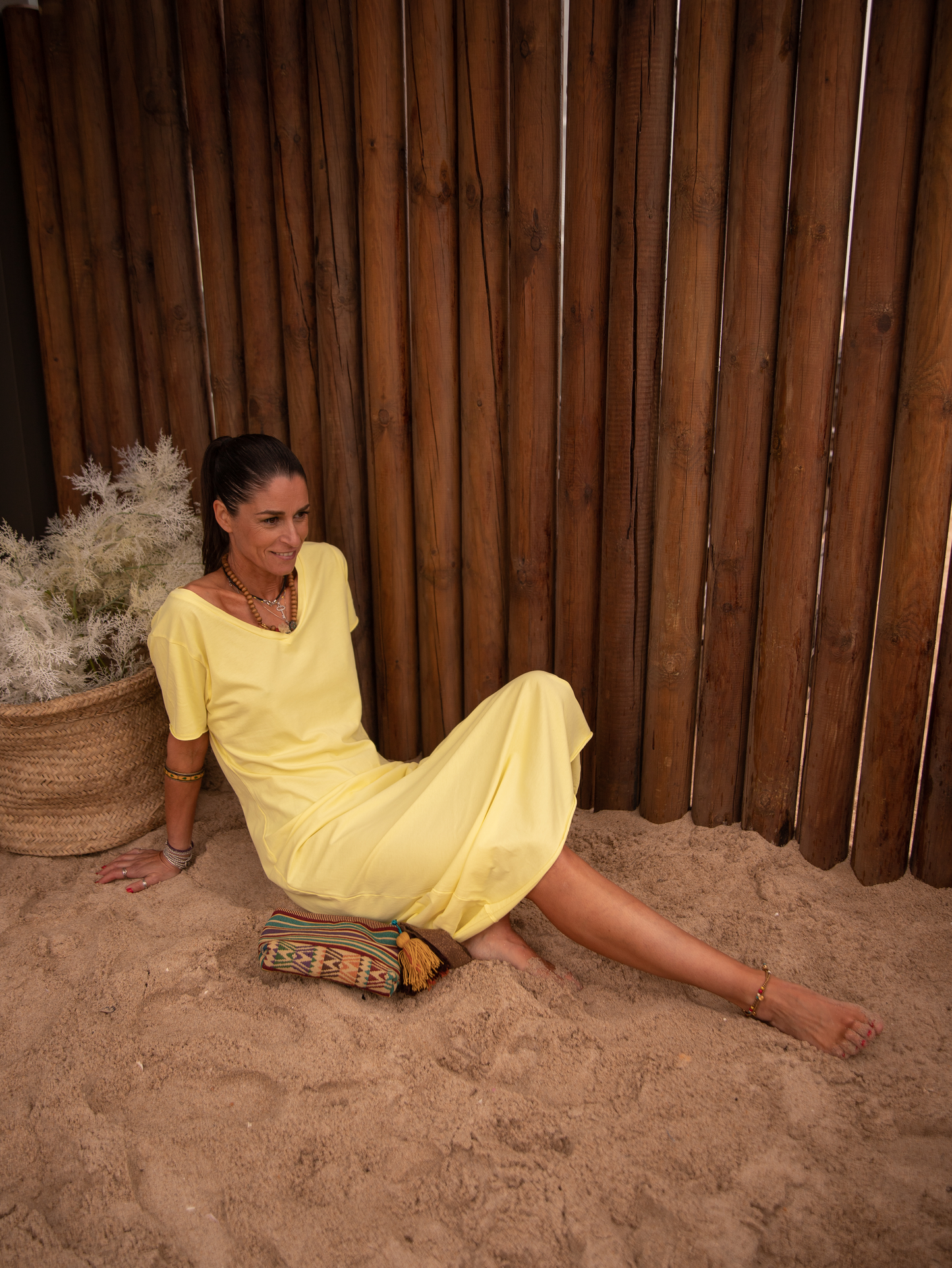Sleeves Dress
